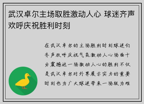武汉卓尔主场取胜激动人心 球迷齐声欢呼庆祝胜利时刻