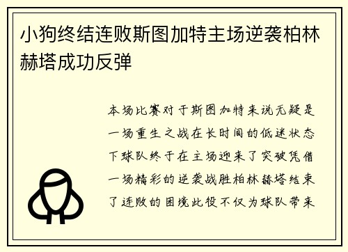 小狗终结连败斯图加特主场逆袭柏林赫塔成功反弹