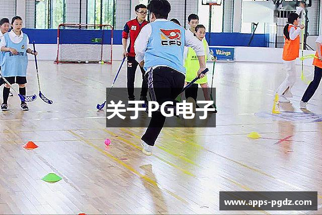 关于PG电子